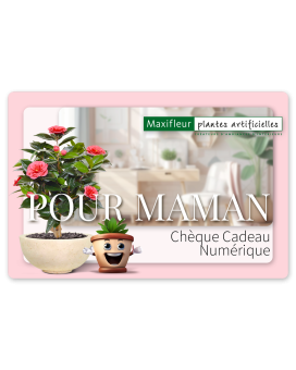 Bon cadeau numérique Maxifleur - Pour maman