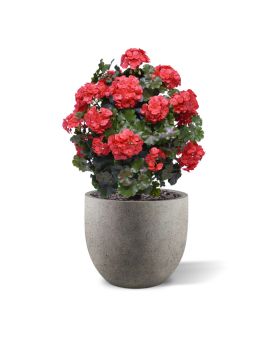 Boule de Geranium Artificiel 50cm UV rouge
