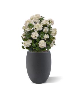 Boule de Geranium artificiel 50cm UV crème