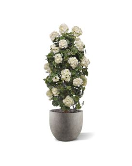 Plante colonne géranium artificiel 120cm UV crème