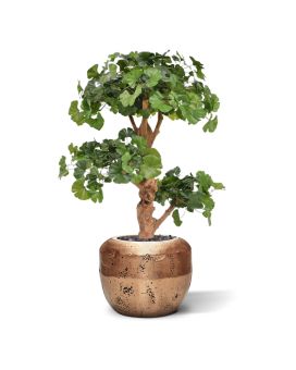 Ginkgo Bonsaï deluxe artificiel de 95 cm