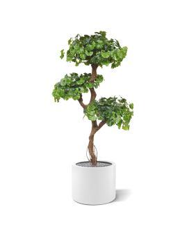 l'Arbre Bonsaï Ginkgo artificiel de 150 cm