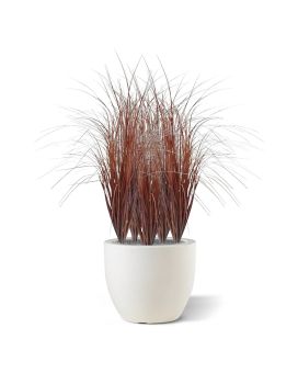 Bouquet d’ herbe 80 cm rouge