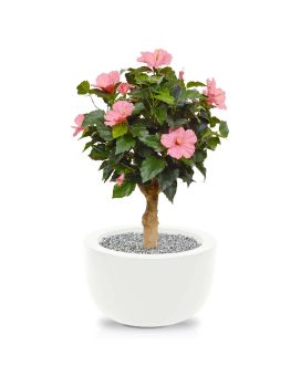 Hibiscus plante artificielle de 65 cm rose sur socle