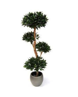 Laurier artificiel boule sur tige de 180cm