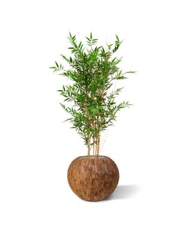 Bambou japonais plante artificielle 120 cm artificiel anti UV