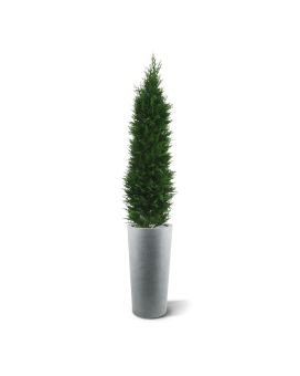 Conifère Plante Artificiele deluxe de 150 cm UV