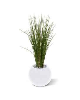 Plante de gazon artificiel 80cm - Résistant aux UV