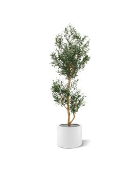 Arbre d'Olivier Promo artificiel de 180 cm