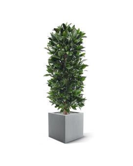 Colonne de Laurier artificielle de 125 cm anti-UV