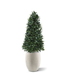 Laurier artificiel pyramide deluxe 150cm