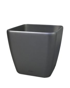 Lechuza Quadro planteur déco 50x50x47 cm anthracite