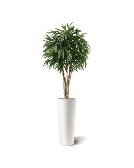 Longifolia plante Artificielle en boule deluxe 180cm