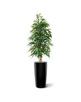 Longifolia Royal arbre artificiel 175 cm
