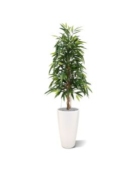 Longifolia Royal arbre artificiel 150 cm
