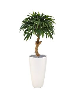 Longifolia Royal artificiel 90 cm sur tronc