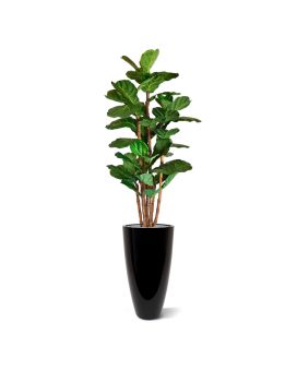 Lyrata deluxe arbre artificiel de 165 cm