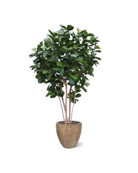 Arbre Artificiel Lyrata Géant Deluxe 420cm