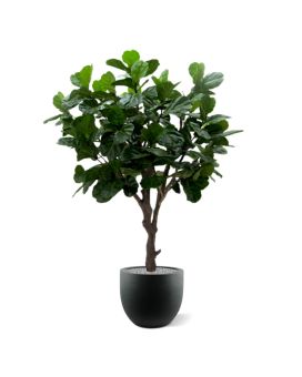 Lyrata Arbre Géant Deluxe artificiel 260 cm sur tronc