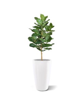 Lyrata Royal plante artificielle de 90 cm