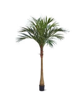 Majesty Palmier Artificielle 225cm YG-Tronc