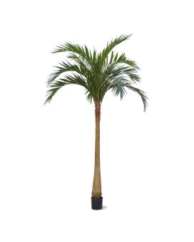 Majesty Palmier Artificielle 300cm YG-Tronc