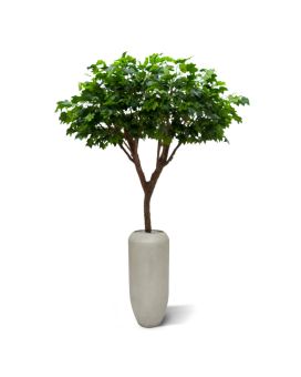 Grand Arbre de Platane Deluxe artificiel 240 cm