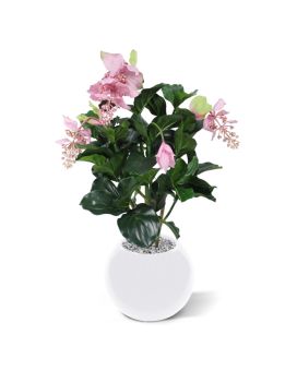 Medinella Plante Artificielle Deluxe 100 cm