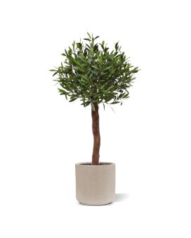 Olivier Artificiel sur Tronc 120cm UV