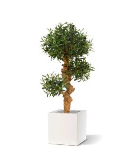 Olivier Bonsaï artificiel 90 cm sur socle en bois