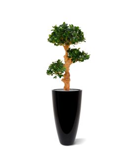 Panda Bonsaï Artificiel 90 cm x3 sur pied