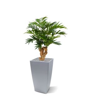 Palmier Parlour Plante Artificielle 65 cm sur pied