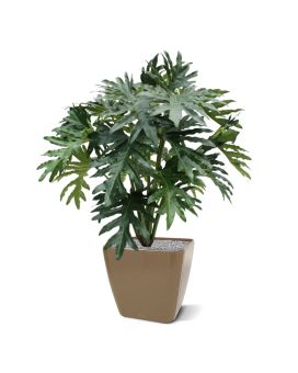 Philodendron selloum Plante Artificielle de 100 cm