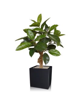Philodendron plante artificielle de 70 cm sur socle