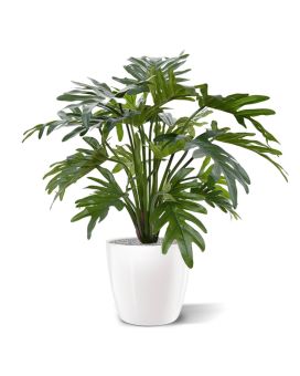 Philodendron Plante Artificielle xanadou 50 cm