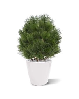 Boule de Pin (Pinus) plante artificielle de 60 cm UV