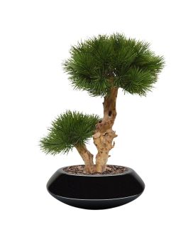 Faux Pin Bonsaï de 55 cm UV sur une base en bois