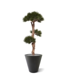 Arbre de Pin Bonsaï artificiel UV de 110 cm