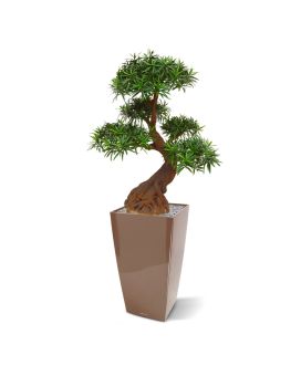 Podocarpus Bonsaï artificiel 90 cm UV