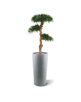 Podocarpus bonsai artificiel de 120 cm