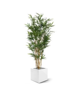 Bambou Royal artificiel arbre de 165 cm