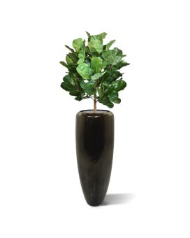 Royal Lyrata boule deluxe plante artificielle de 105 cm