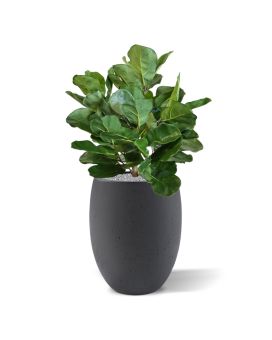 Royal Lyrata boule deluxe plante artificielle de 75 cm