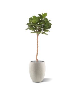 Royal Lyrata arbre artificiel sur tronc de 120 cm
