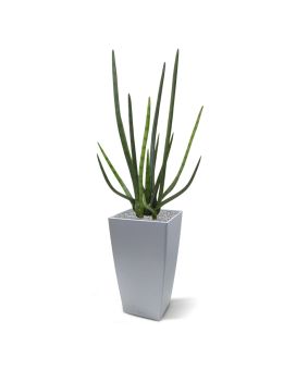 Sanseveria Cylindrica artificiel 75 cm vert