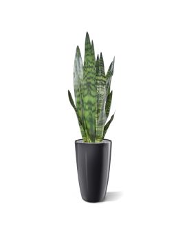 Sanseveria plante artificielle de 72 cm verte