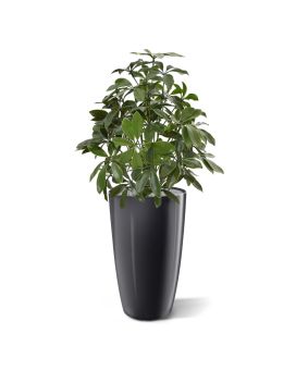 Schefflera plante artificielle de 50 cm anti-UV