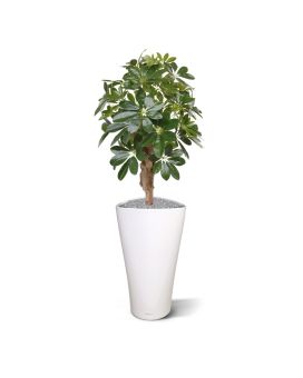 Schefflera plante artificielle de 65 cm sur socle
