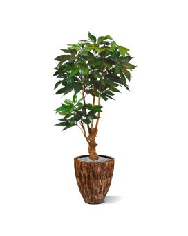 Schefllera Amate deluxe arbre artificiel de 165 cm