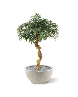 Shirakashi Bonsaï Artificielle sur tronc 100 cm